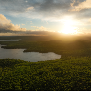 202 Domaine du Lac Moffatt, Lingwick, QC, Canada
